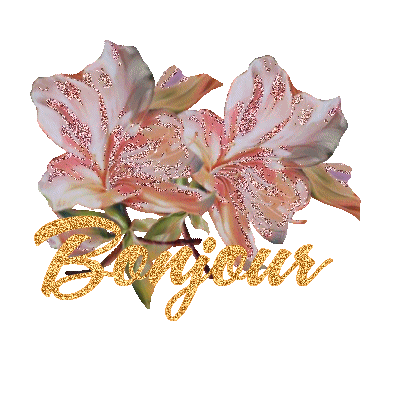 bonjour